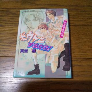 ボウケンするだろ！青桃院学園風紀録(文学/小説)