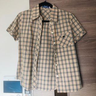 バーバリーブルーレーベル(BURBERRY BLUE LABEL)のバーバリー ブラウスM(シャツ/ブラウス(半袖/袖なし))