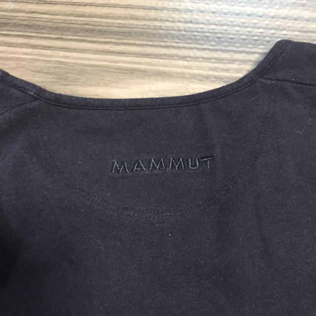 Mammut(マムート)のマムート 半袖Tシャツ レディースのトップス(Tシャツ(半袖/袖なし))の商品写真