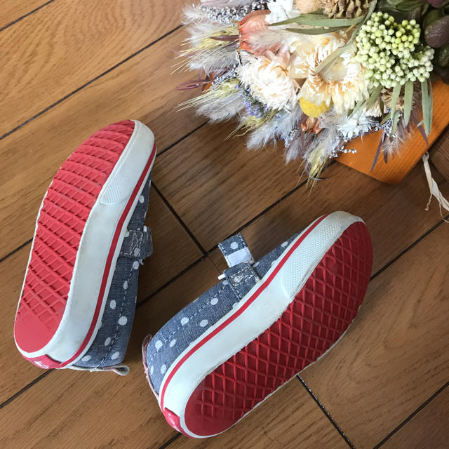 VANS(ヴァンズ)のVANS 14cm 靴 キッズ/ベビー/マタニティのベビー靴/シューズ(~14cm)(スニーカー)の商品写真