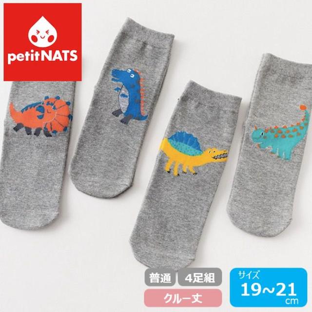 petitNATS❤恐竜グレー《19〜21cm》〔ca18017-xl〕 キッズ/ベビー/マタニティのこども用ファッション小物(靴下/タイツ)の商品写真