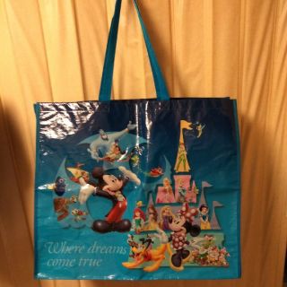 ディズニー(Disney)の★ゆっきー様専用★ディズニービッグバッグ(キャラクターグッズ)