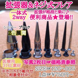 拡張器　ネジ式ダブルフレア　一体式(ピアス(片耳用))