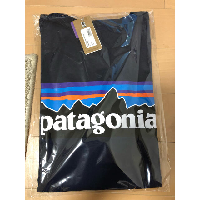 本日発送！Patagonia Tシャツ L