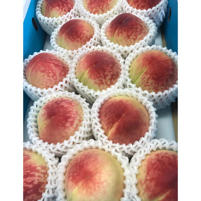 3 和歌山の桃 食品/飲料/酒の食品(フルーツ)の商品写真