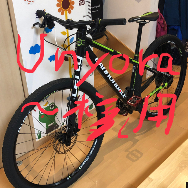 Cannondale(キャノンデール)のUnyora〜様専用 キャノンデール レフティ F29 街乗り6回のみ スポーツ/アウトドアの自転車(自転車本体)の商品写真