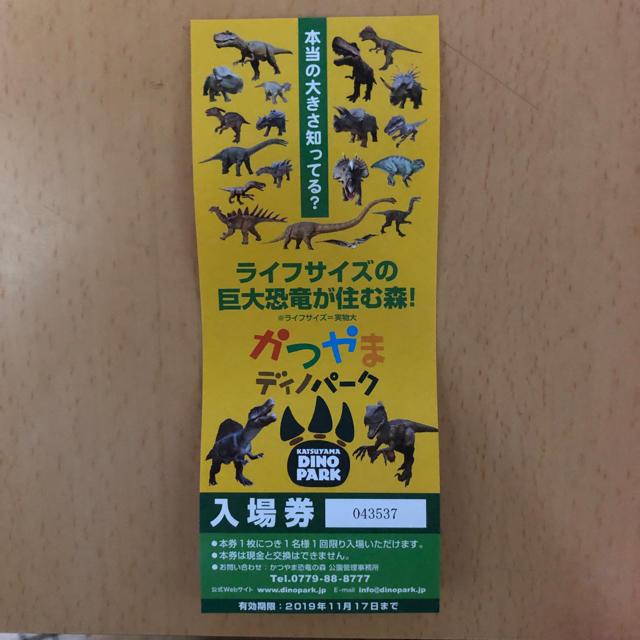 かつやまディノパーク 入場券 同封無料 福井恐竜博物館 チケットの施設利用券(遊園地/テーマパーク)の商品写真