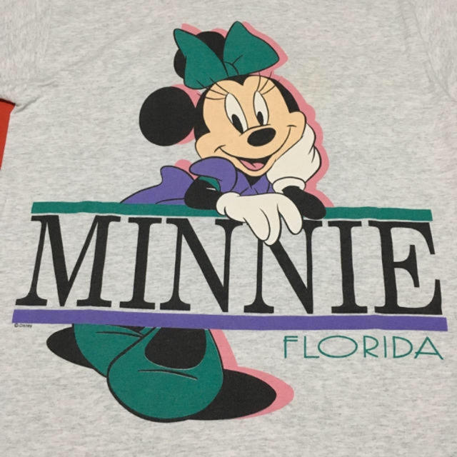 Disney(ディズニー)の90s ミニー フロリダ Tシャツ フルーツオブザルーム ヴィンテージ 激レア メンズのトップス(Tシャツ/カットソー(半袖/袖なし))の商品写真