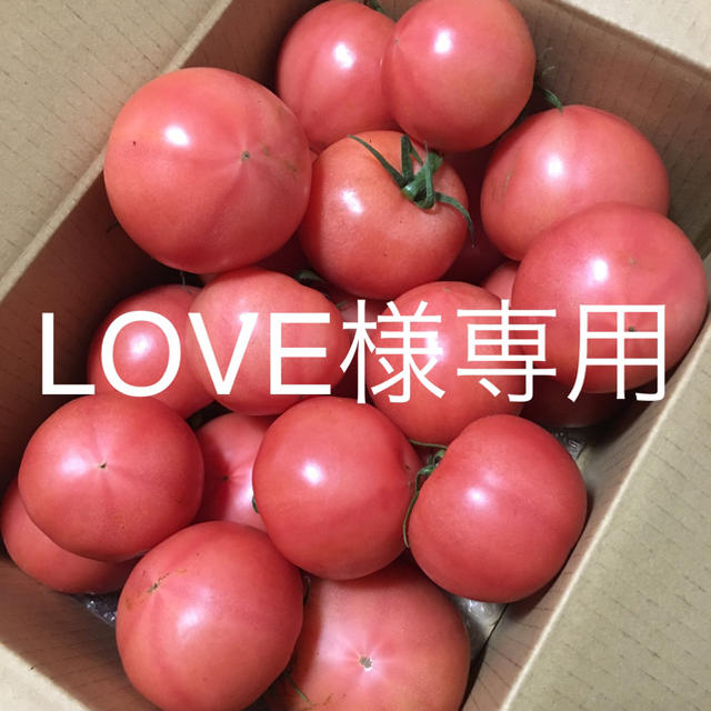 トマト3kg 食品/飲料/酒の食品(野菜)の商品写真