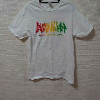 ワニマ(WANIMA)のWANIMA Tシャツ(ミュージシャン)