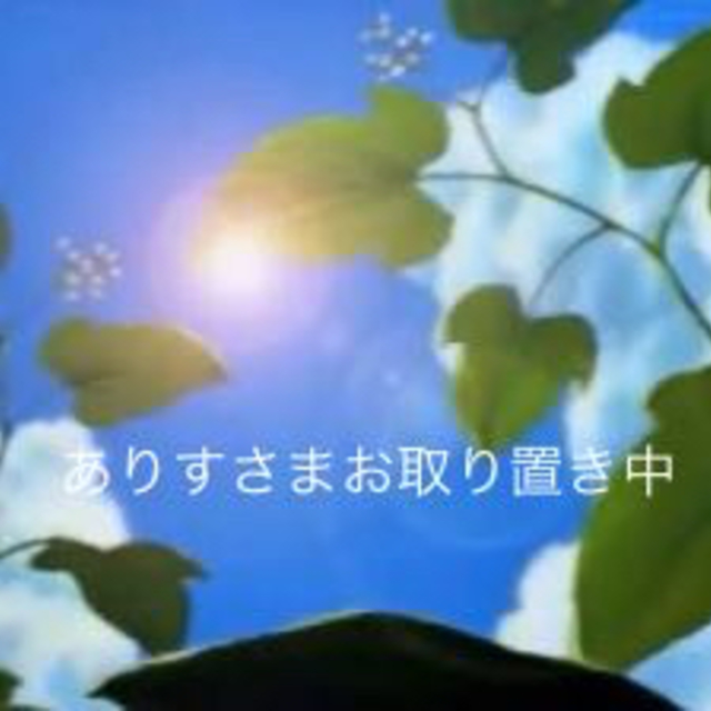 ありすさま専用です❁今週末まで-