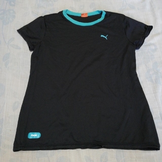 プーマ(PUMA)のプーマＴシャツ　Lサイズ(Tシャツ(半袖/袖なし))