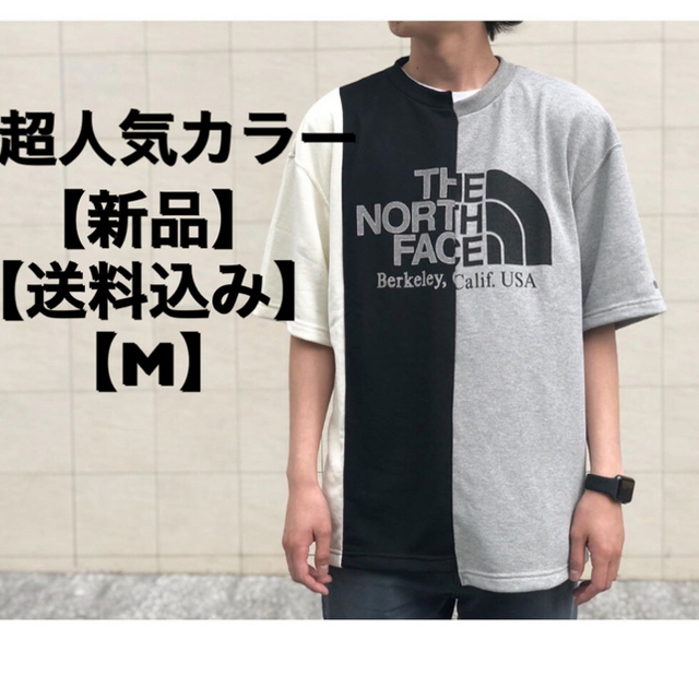 アシンメトリーロゴTシャツ M ノースフェイスパープルレーベルTシャツ/カットソー(半袖/袖なし)