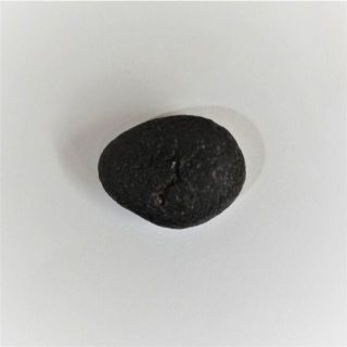 タキオン チンターマニ ストーン 3.0ｇ 半透明✿COBRA直送パワーストーン(その他)