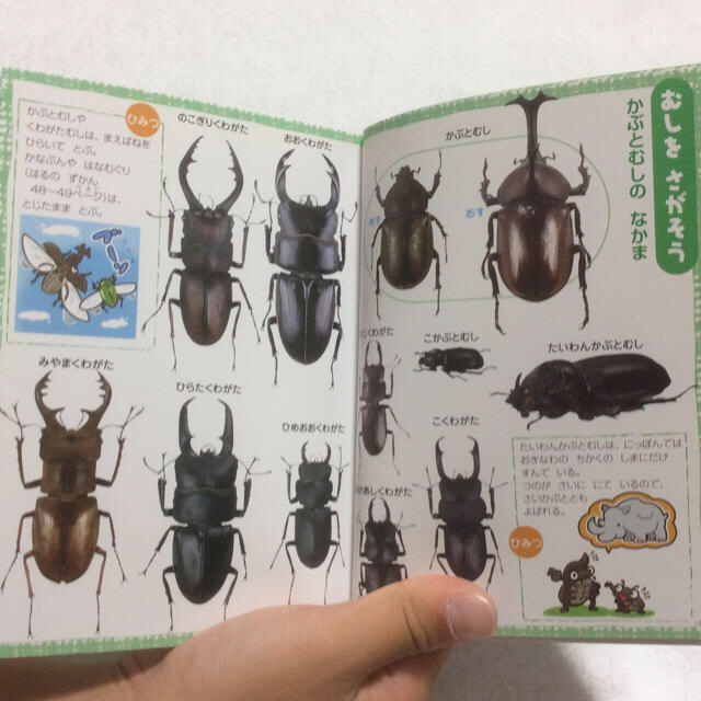 学研(ガッケン)のポケットずかん 4冊セット おでかけずかん 図鑑 まとめ売り エンタメ/ホビーの本(絵本/児童書)の商品写真