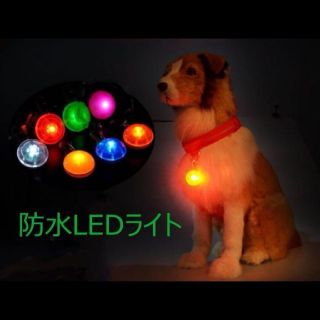 【PINK様専用】クリップ付LEDライト
3つ(犬)