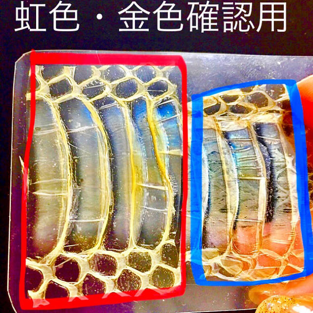 龍神お守り小サイズ ハンドメイドの生活雑貨(その他)の商品写真