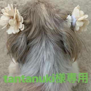 mila schon(毛皮/ファーコート)のフリマアイテム一覧 mila schon(毛皮/ファーコート)のフリマアイテム一覧