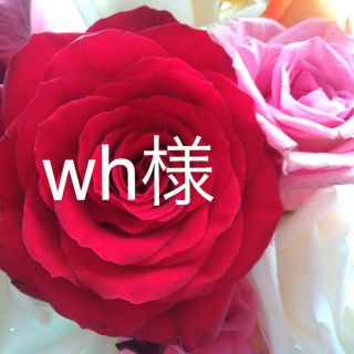 wh様専用♡(その他)