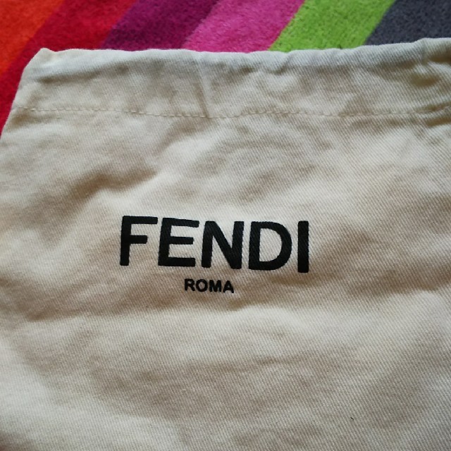 FENDI(フェンディ)のフェンディ FENDI  保存ポーチ レディースのファッション小物(ポーチ)の商品写真