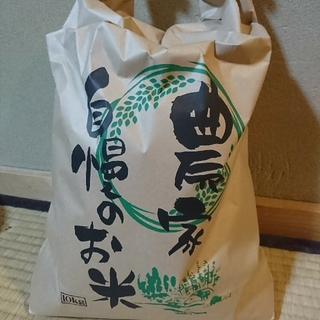コシヒカリ 10キロ(米/穀物)