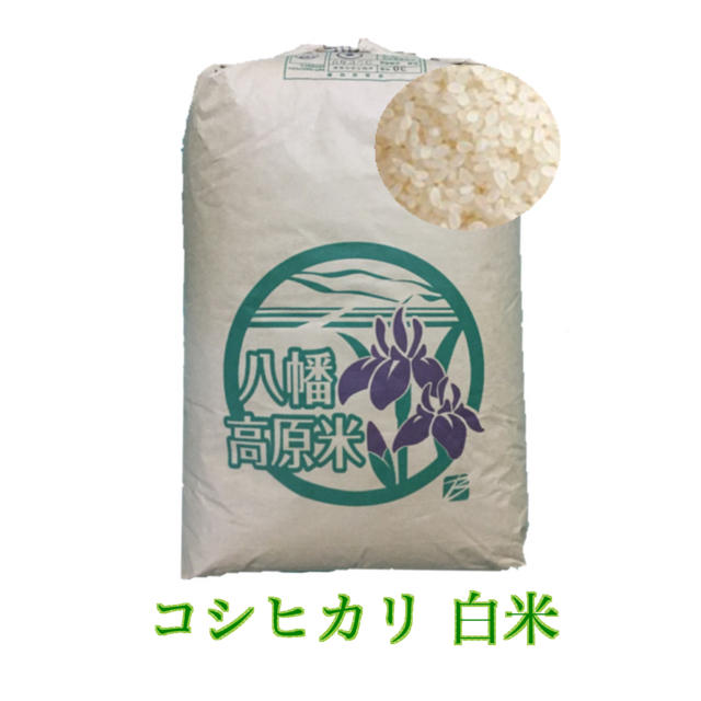 平成30年度　25キロ　白米こしひかり　米/穀物