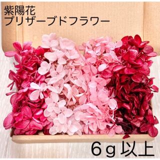 アジサイ 紫陽花 プリザーブドフラワー ハーバリウム 花材 ピンクセット(プリザーブドフラワー)