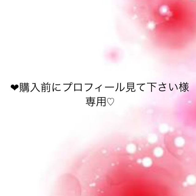 ❤︎購入前にプロフィール見て下さい様専用♡ 【新作入荷!!】 33%割引