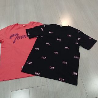 トミー(TOMMY)のよしくん様専用 トミー  メンズ Ｌ ピンクTシャツ(Tシャツ/カットソー(半袖/袖なし))