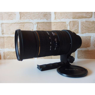 シグマ(SIGMA)のSIGMA APO 50-500mm F4-6.3D EX HSM Nikon(レンズ(ズーム))