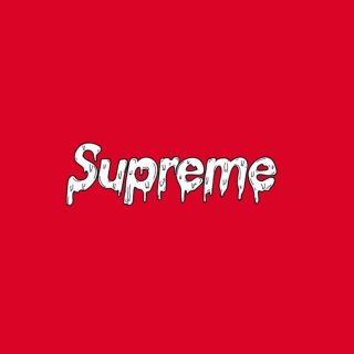 シュプリーム(Supreme)のかめさん(その他)