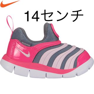 ナイキ(NIKE)の新品 ナイキ 14センチ ダイナモフリー  TD (スニーカー)