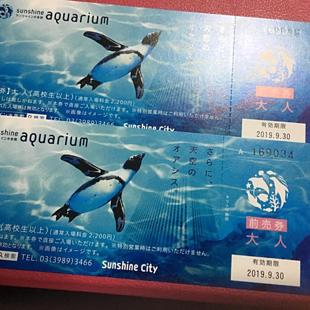 サンシャイン水族館前売券２枚 チケットの施設利用券(水族館)の商品写真