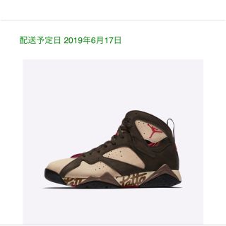 ナイキ(NIKE)のnike air jordan patta 27.5(スニーカー)