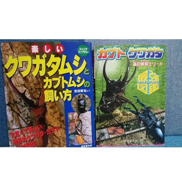 クワガタ カブトムシ図鑑① エンタメ/ホビーの本(絵本/児童書)の商品写真