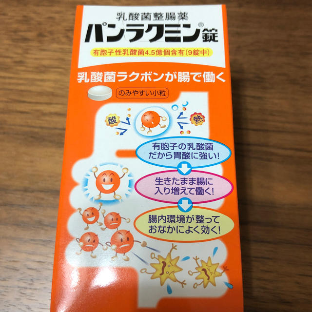 乳酸菌整腸薬☆パンラクミン錠 350錠 その他のその他(その他)の商品写真