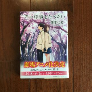 君の膵臓を食べたい(文学/小説)