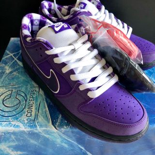 ナイキ(NIKE)の26 nike sb dunk concepts purple lobster(スニーカー)