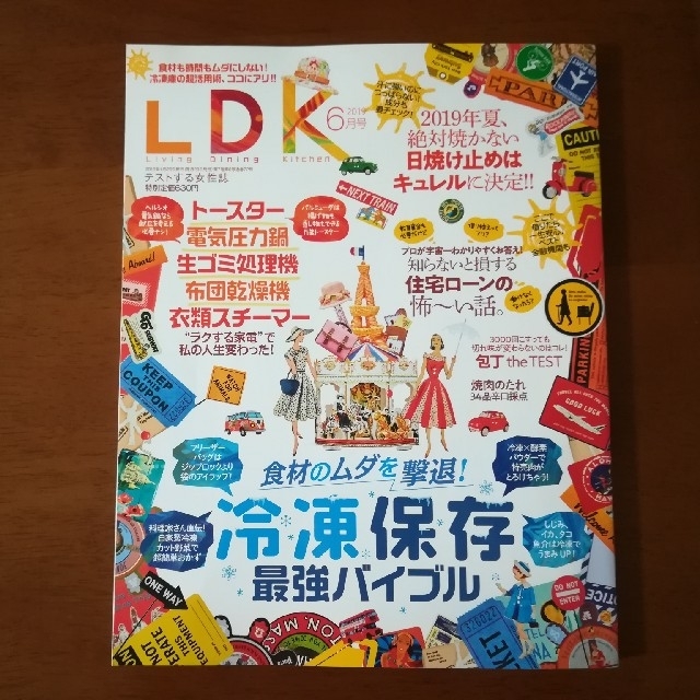 雑誌　LDK 2019年5月号6月号　2冊 エンタメ/ホビーの雑誌(その他)の商品写真