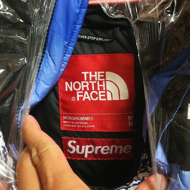Supreme(シュプリーム)のSupreme The North Face バルトロ 雪山 Mサイズ メンズのジャケット/アウター(ダウンジャケット)の商品写真
