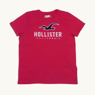 ホリスター(Hollister)の★新品/SALE★ホリスター★アップリケロゴ半袖Tシャツ (Red/M)(Tシャツ(半袖/袖なし))