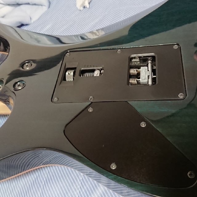 Ibanez(アイバニーズ)のibanez j-custom RG8570Z 楽器のギター(エレキギター)の商品写真