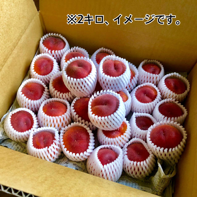 桃(超極早生品種ひめこなつ)2kg 食品/飲料/酒の食品(フルーツ)の商品写真