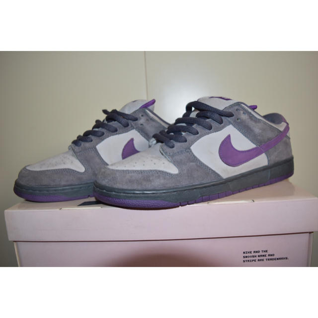 purple pigeon dunks