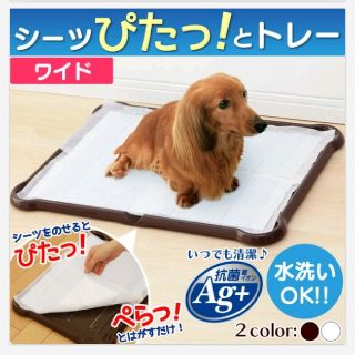 アイリスオーヤマ(アイリスオーヤマ)の犬用トイレトレー(犬)