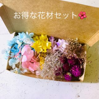 花材セット 詰め合わせ✼*✲*✻*(ドライフラワー)