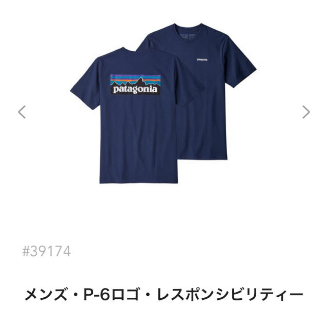 本日発送！新品 Patagonia Tシャツ