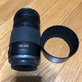 パナソニック(Panasonic)のH-FS100300 LUMIX G VARIO 100-300(レンズ(ズーム))