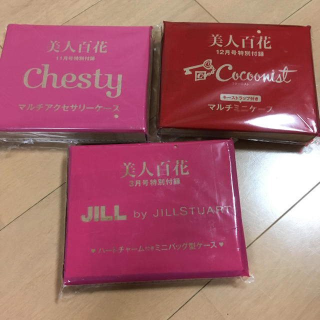 Cocoonist(コクーニスト)のジル コクーニスト chesty ポーチ レディースのファッション小物(ポーチ)の商品写真