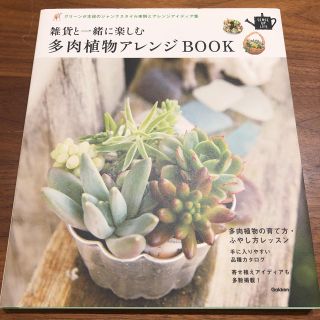 雑貨と一緒に楽しむ多肉植物アレンジbook : グリーンが主役のジャンクスタイ…(住まい/暮らし/子育て)